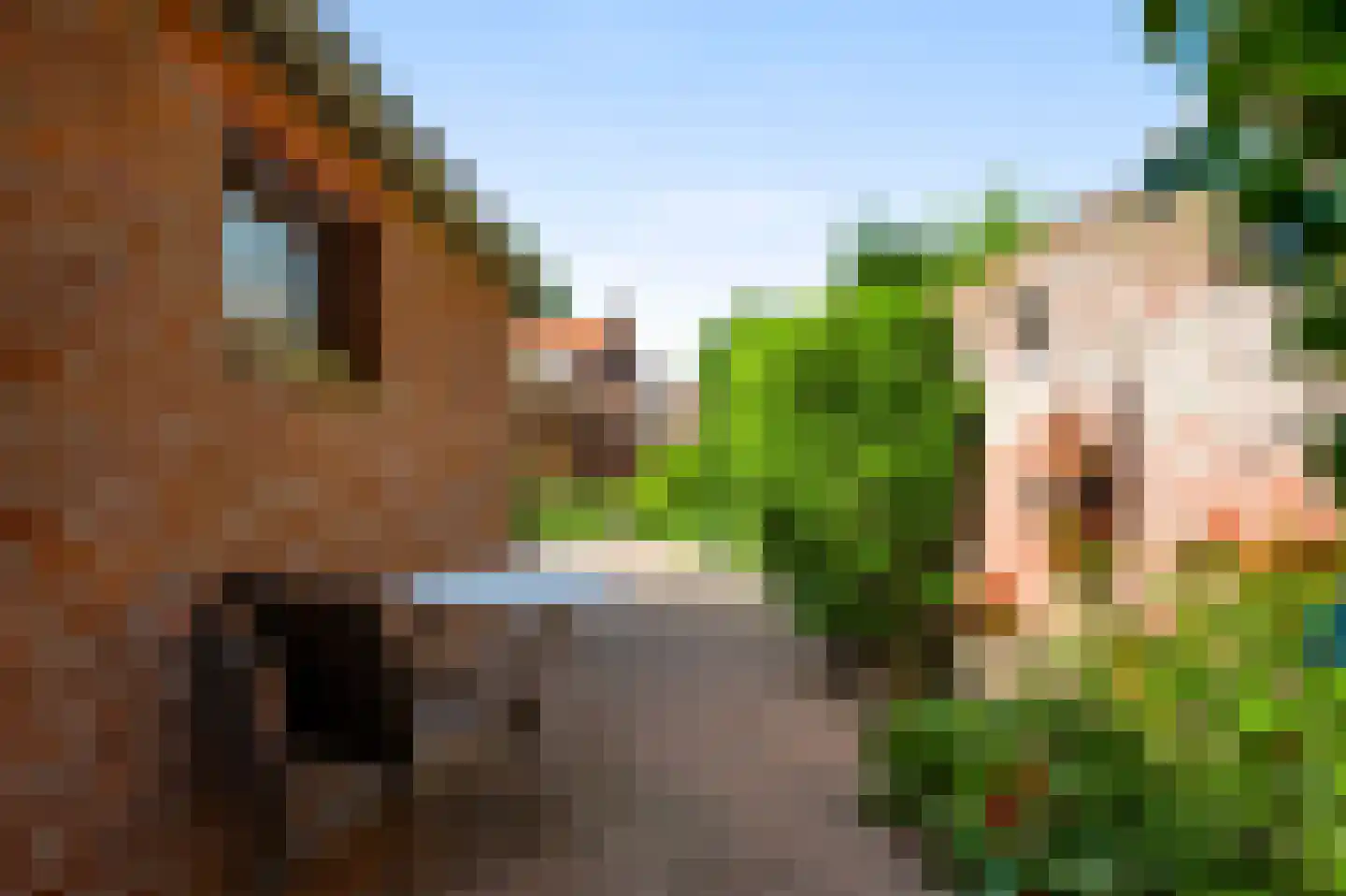 Deken Creemersstraat 49 Horst thumbnail 36