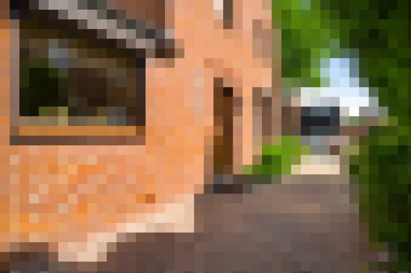 Deken Creemersstraat 49 Horst thumbnail 38