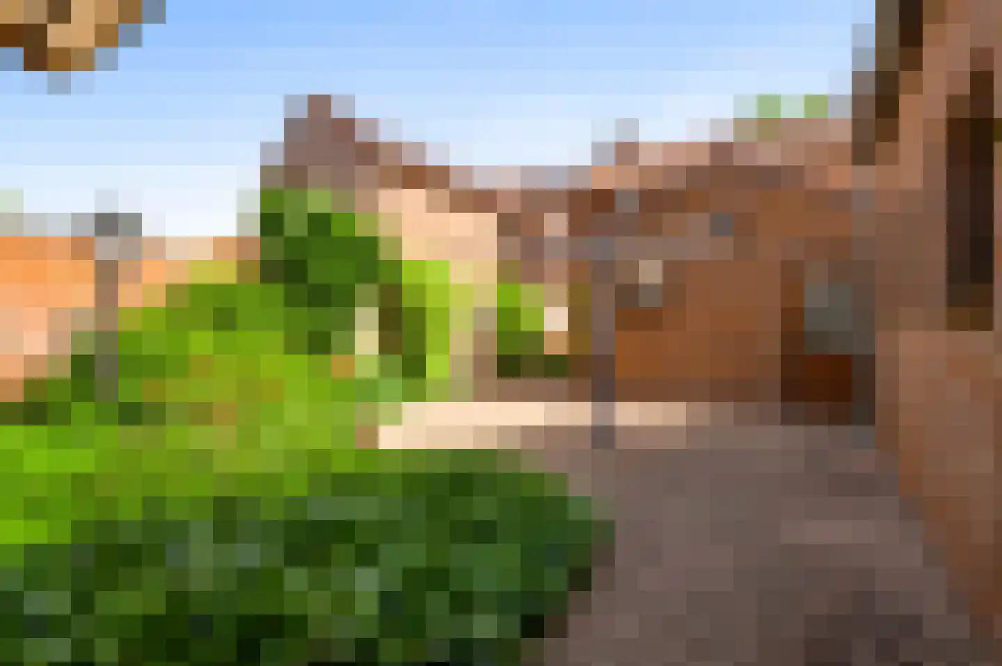 Deken Creemersstraat 49 Horst thumbnail 4