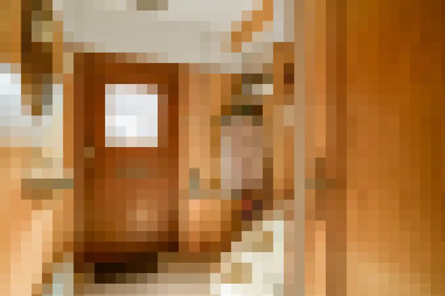 Deken Creemersstraat 49 Horst thumbnail 5