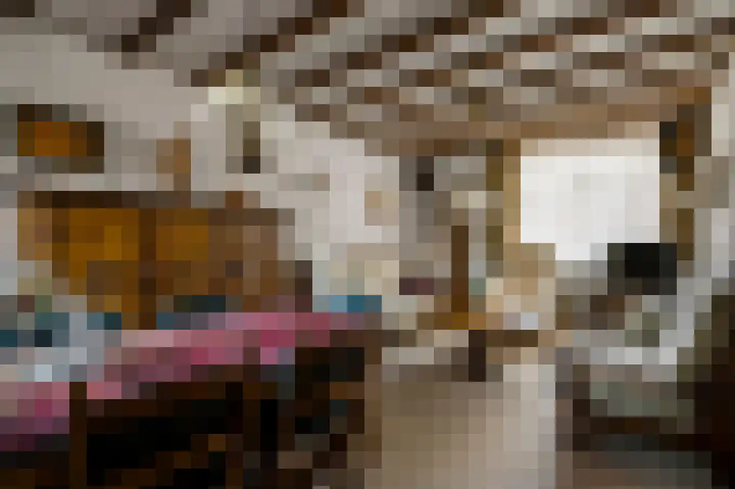Deken Creemersstraat 49 Horst thumbnail 7