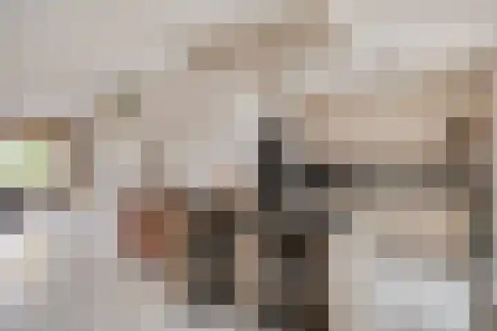 Deken Creemersstraat 64 Horst thumbnail 13