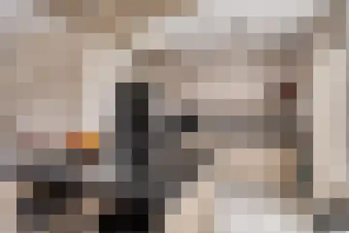 Deken Creemersstraat 64 Horst thumbnail 14