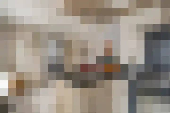 Deken Creemersstraat 64 Horst thumbnail 15