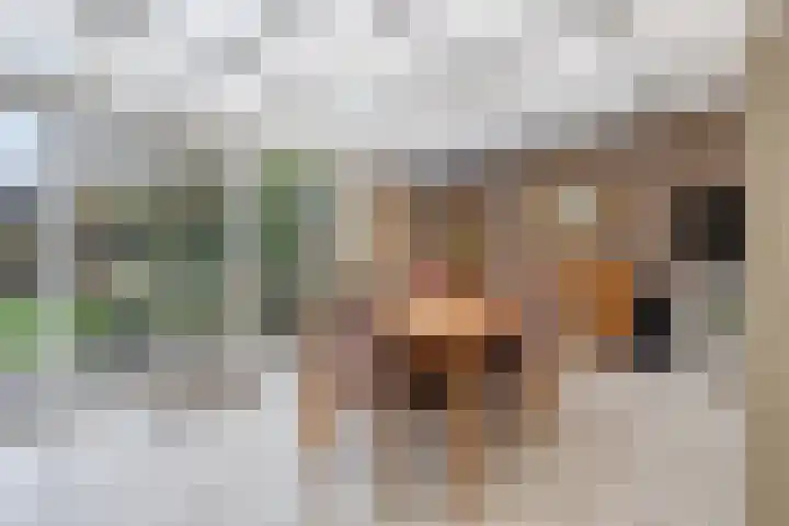 Deken Creemersstraat 64 Horst thumbnail 18