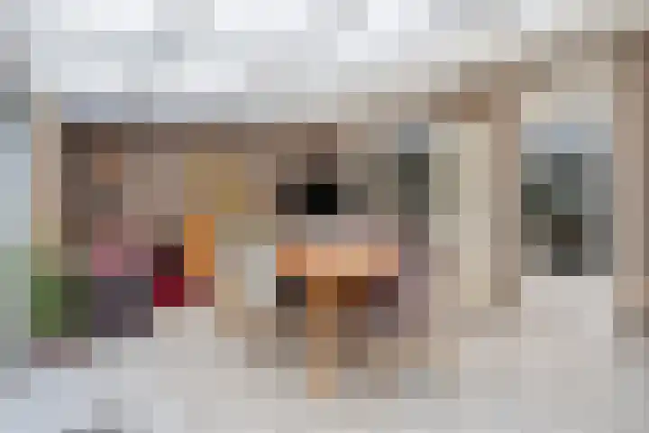 Deken Creemersstraat 64 Horst thumbnail 19