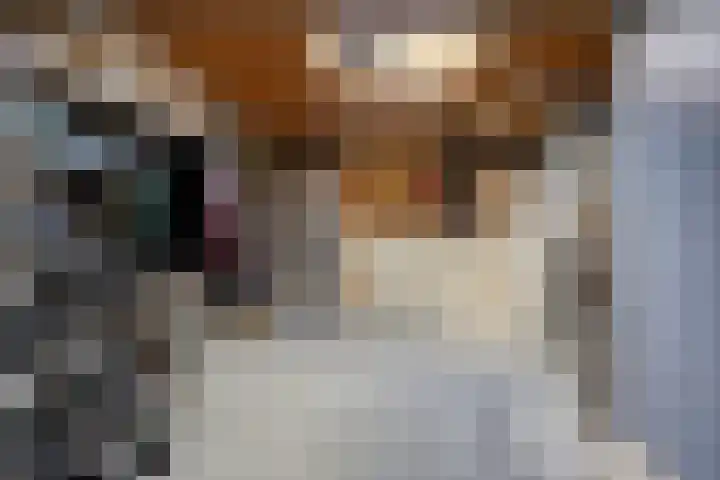 Deken Creemersstraat 64 Horst thumbnail 21