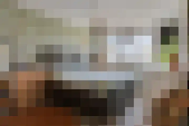 Deken Creemersstraat 64 Horst thumbnail 25