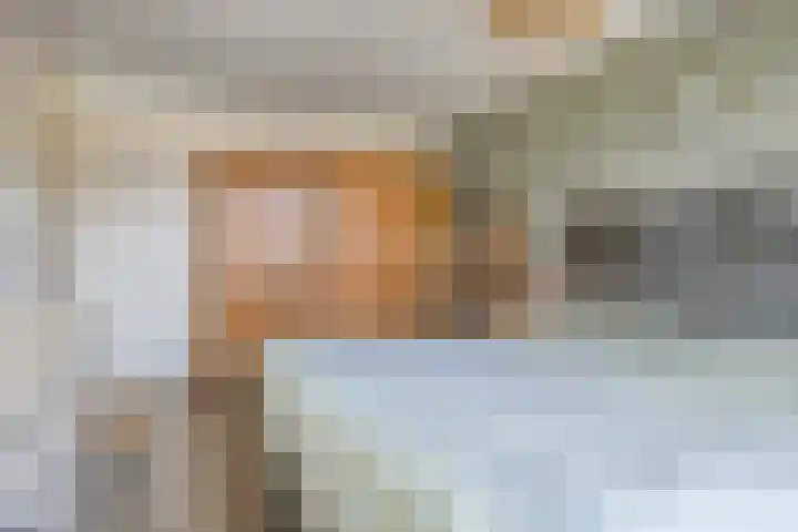 Deken Creemersstraat 64 Horst thumbnail 26