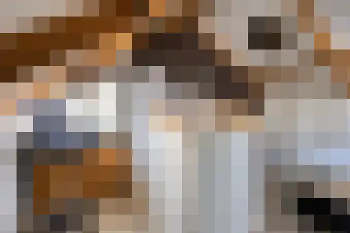 Deken Creemersstraat 64 Horst thumbnail 32