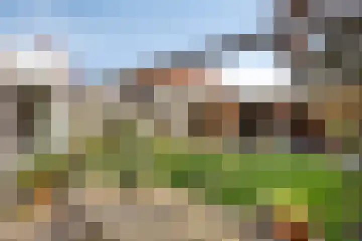 Deken Creemersstraat 64 Horst thumbnail 33