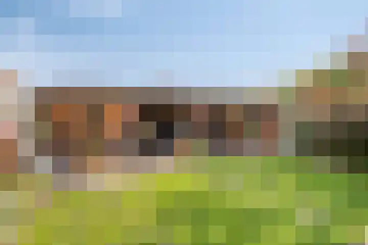 Deken Creemersstraat 64 Horst thumbnail 34