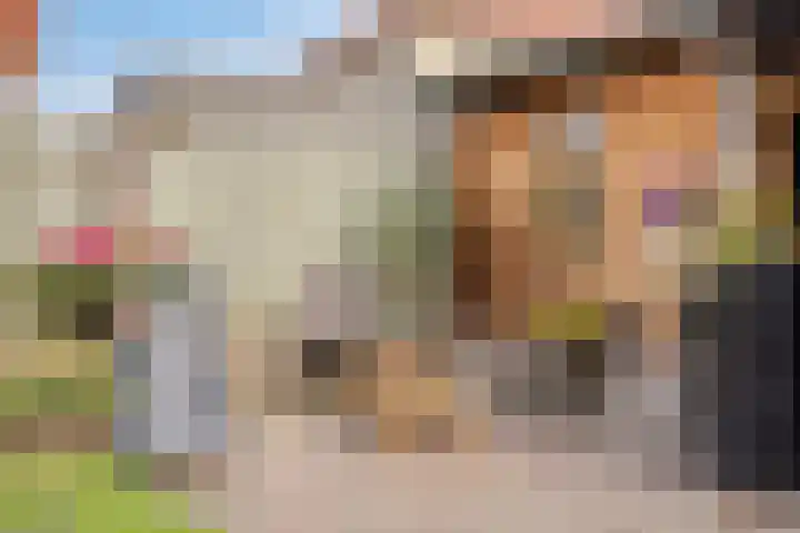 Deken Creemersstraat 64 Horst thumbnail 36
