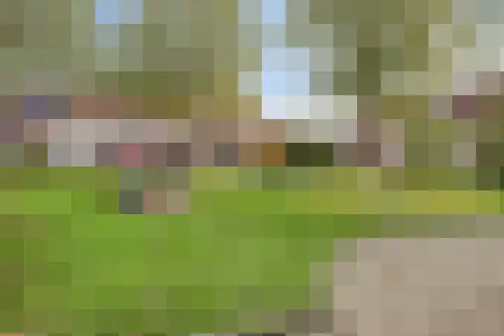 Deken Creemersstraat 64 Horst thumbnail 38