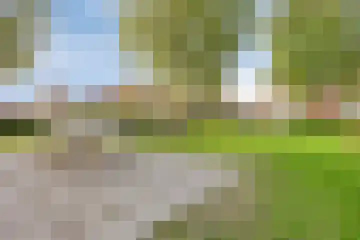 Deken Creemersstraat 64 Horst thumbnail 39