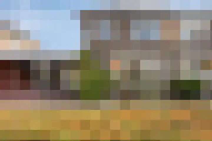 Deken Creemersstraat 64 Horst thumbnail 40