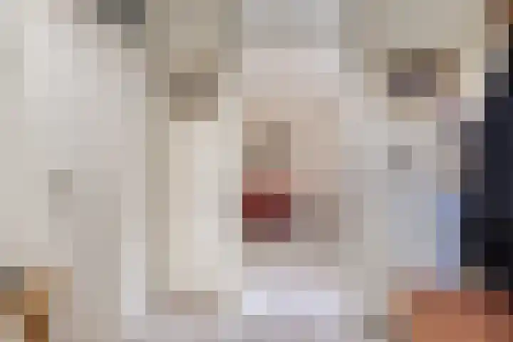 Deken Creemersstraat 64 Horst thumbnail 5