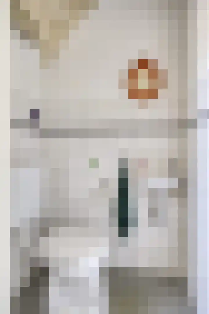 Deken Creemersstraat 64 Horst thumbnail 6