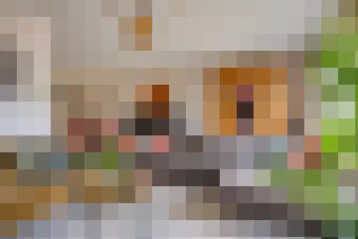 Deken Creemersstraat 64 Horst thumbnail 9