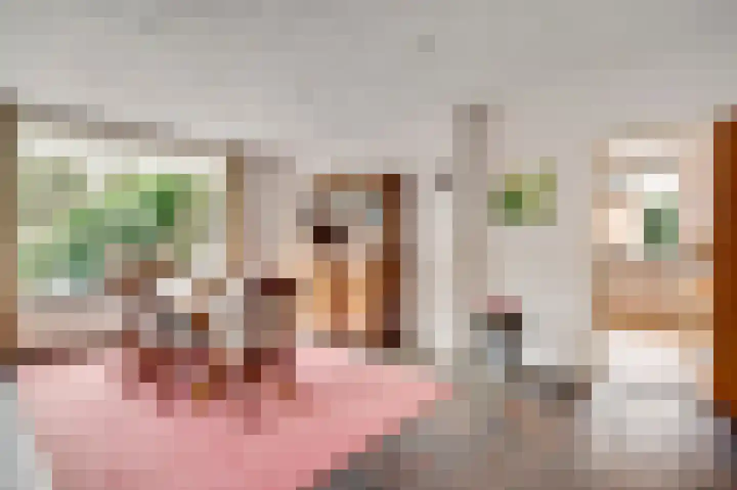 Deken Creemersstraat 7 Horst thumbnail 19