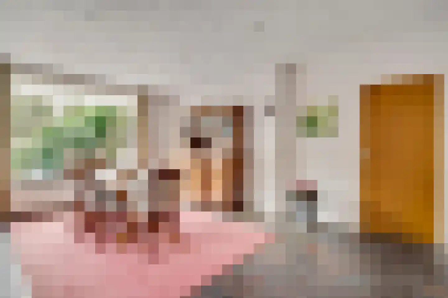Deken Creemersstraat 7 Horst thumbnail 20