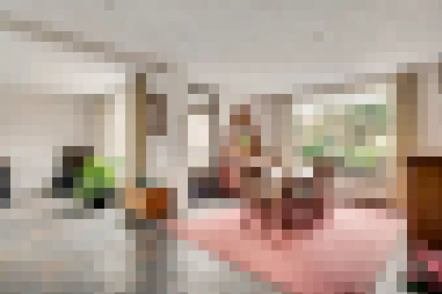 Deken Creemersstraat 7 Horst thumbnail 21