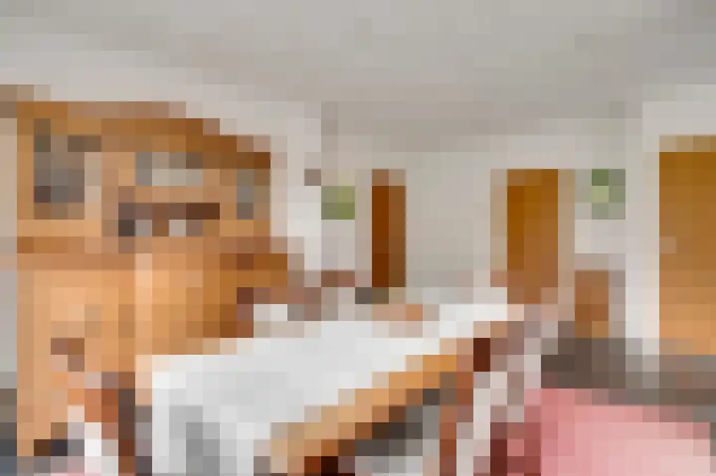 Deken Creemersstraat 7 Horst thumbnail 22