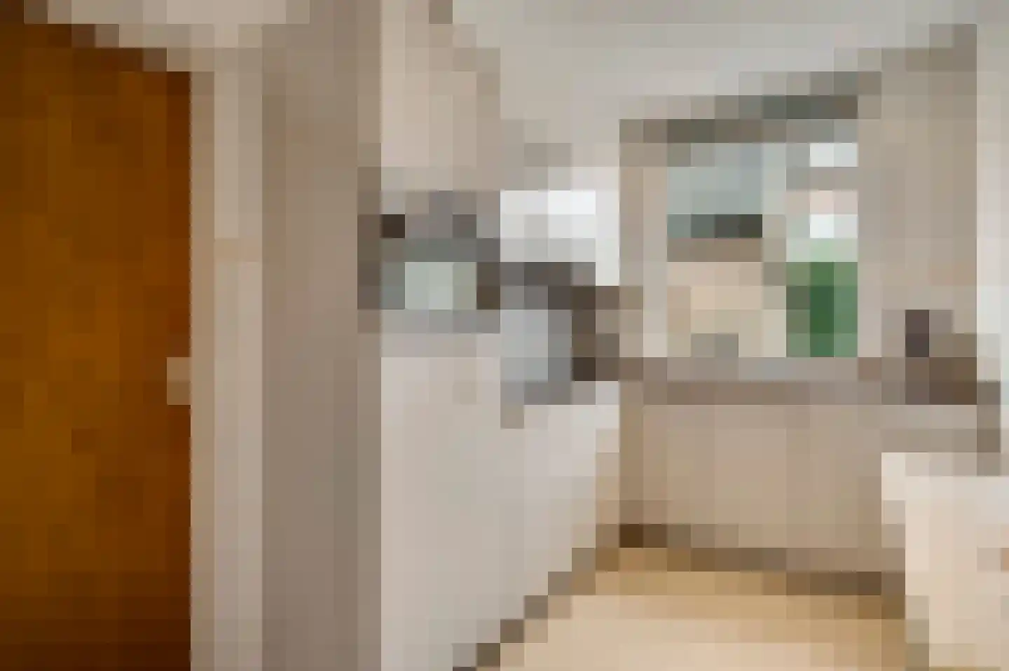 Deken Creemersstraat 7 Horst thumbnail 24