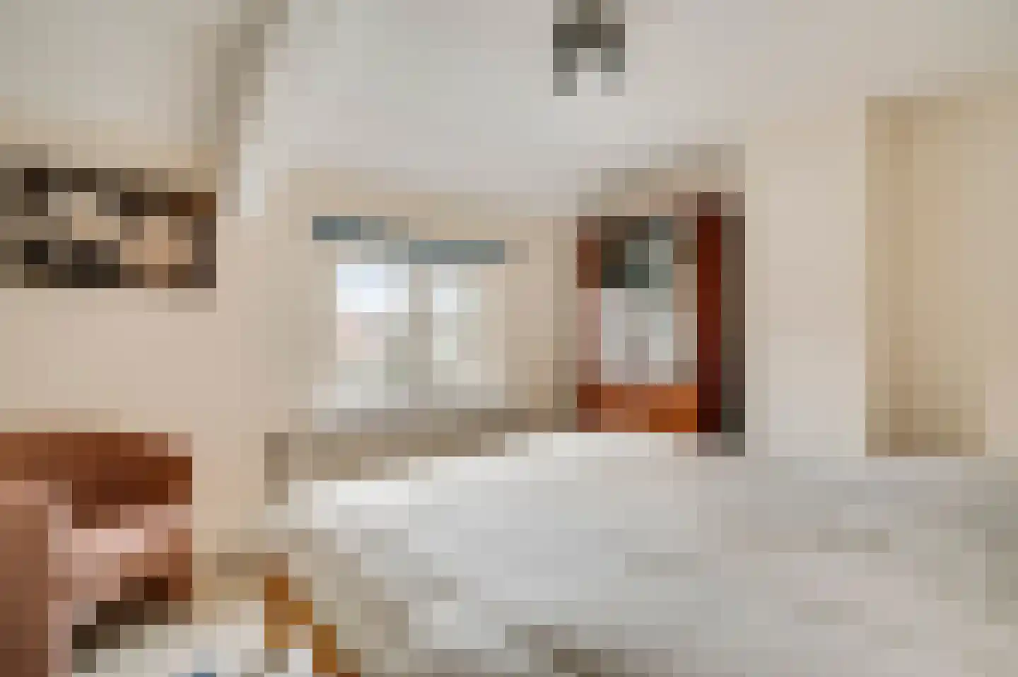 Deken Creemersstraat 7 Horst thumbnail 34