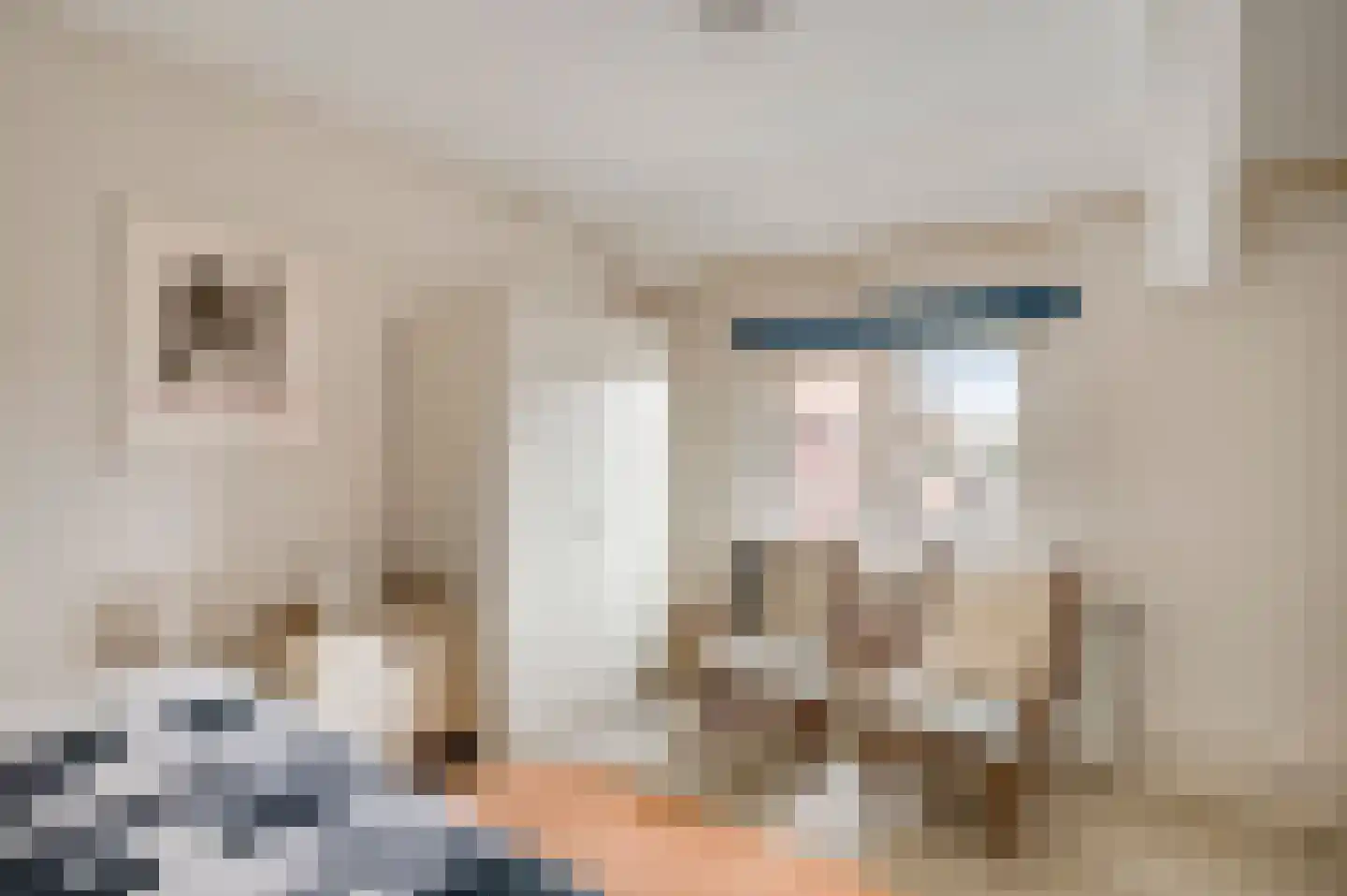 Deken Creemersstraat 7 Horst thumbnail 35