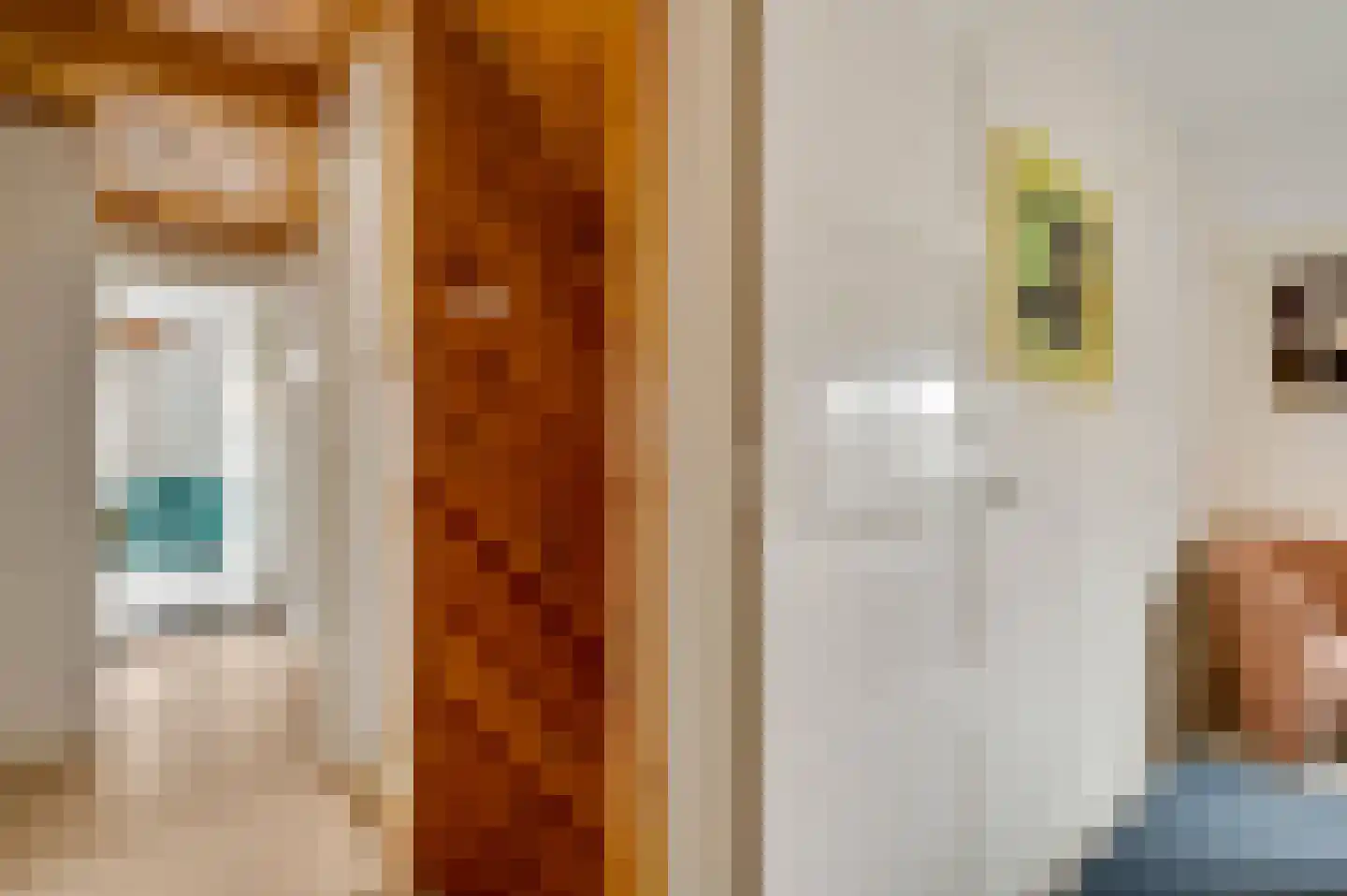 Deken Creemersstraat 7 Horst thumbnail 39