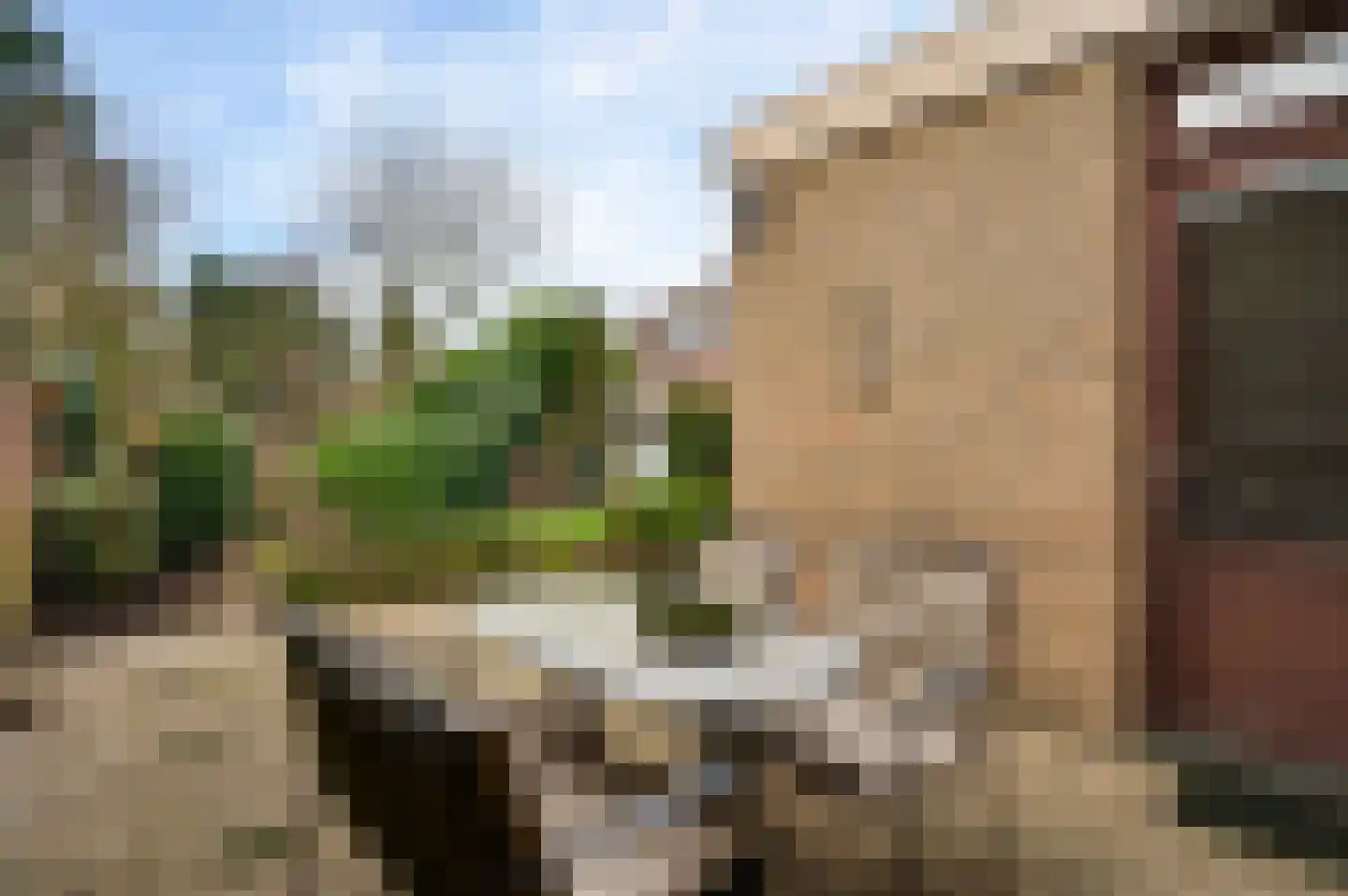 Deken Creemersstraat 7 Horst thumbnail 45