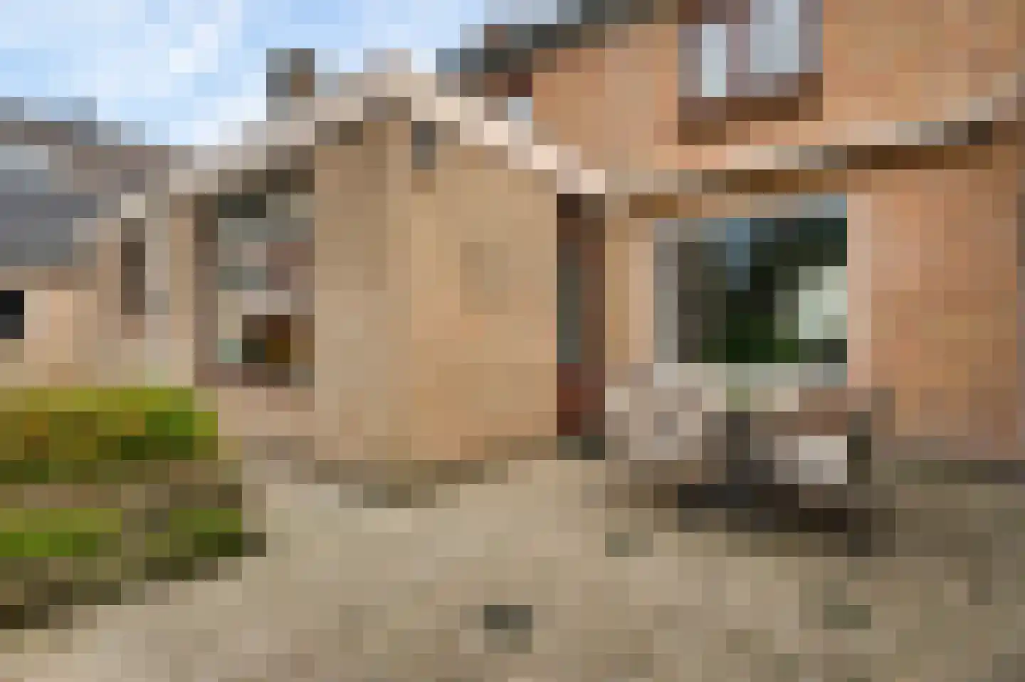 Deken Creemersstraat 7 Horst thumbnail 46