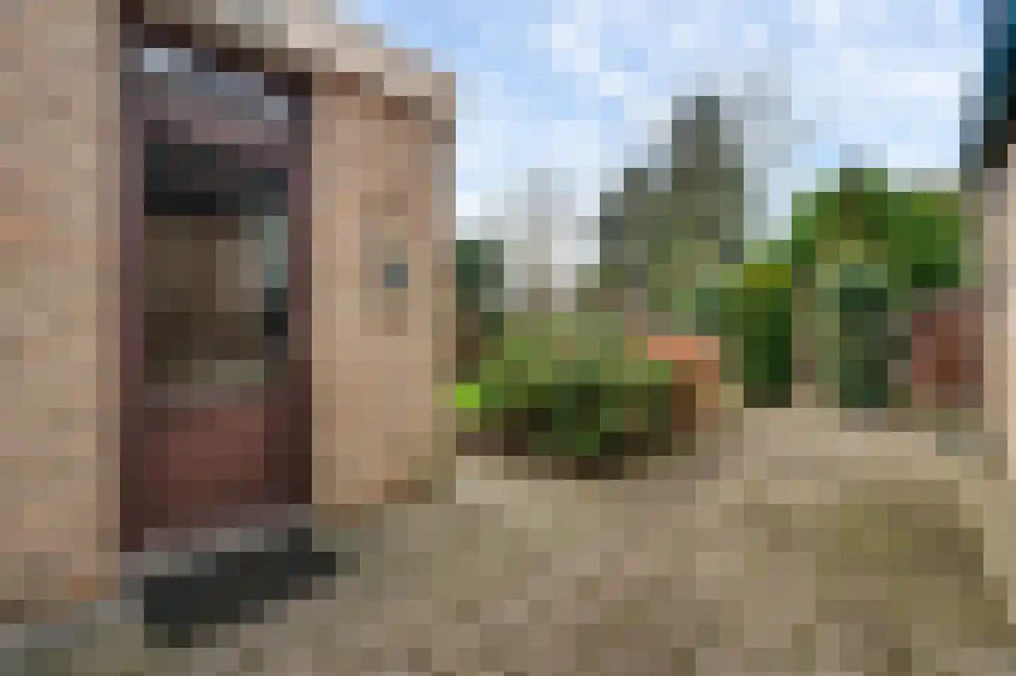 Deken Creemersstraat 7 Horst thumbnail 47
