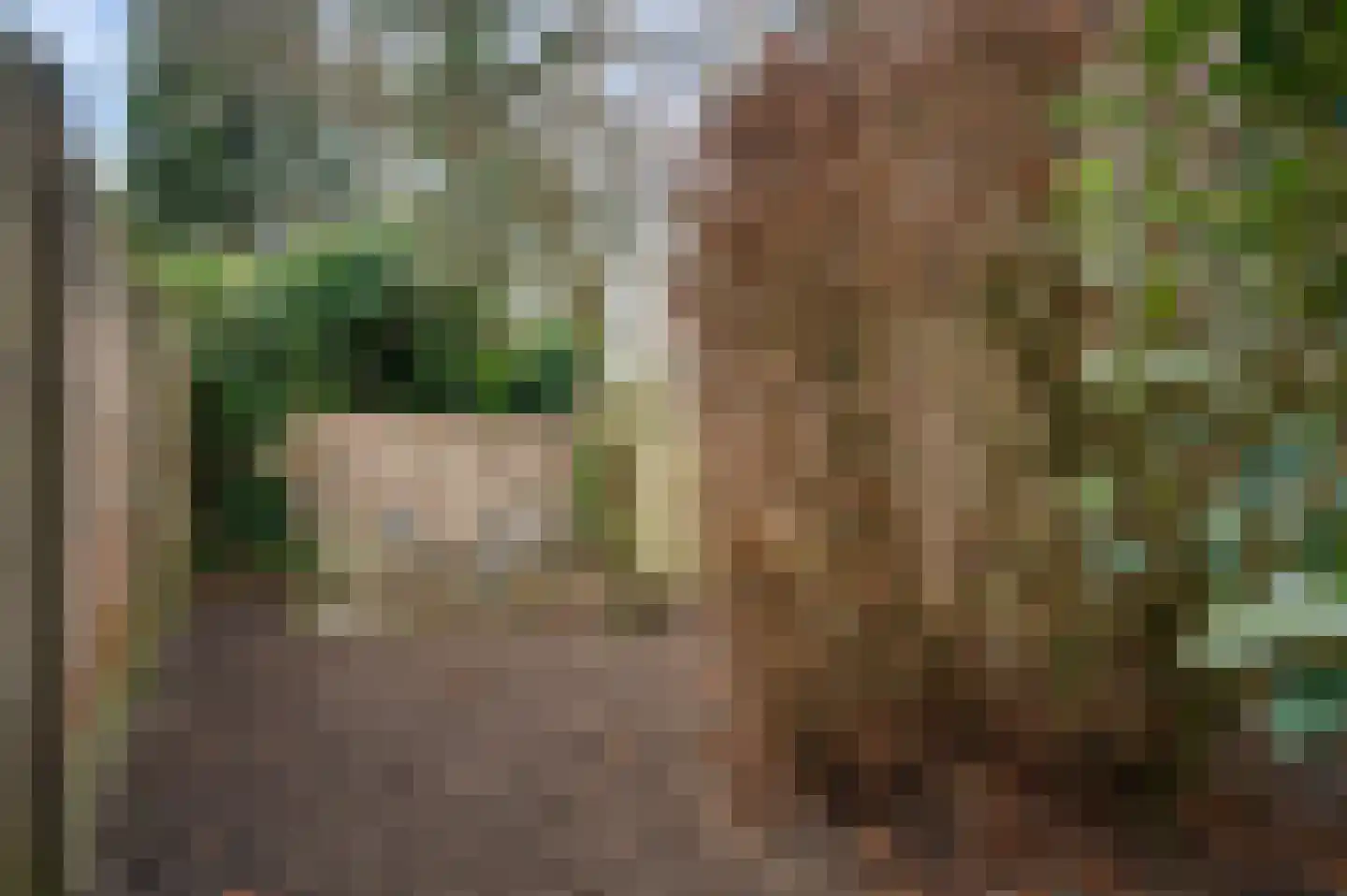 Deken Creemersstraat 7 Horst thumbnail 53