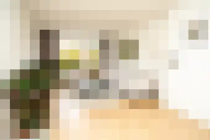 Deken de Raetstraat 8 Nijmegen thumbnail 11