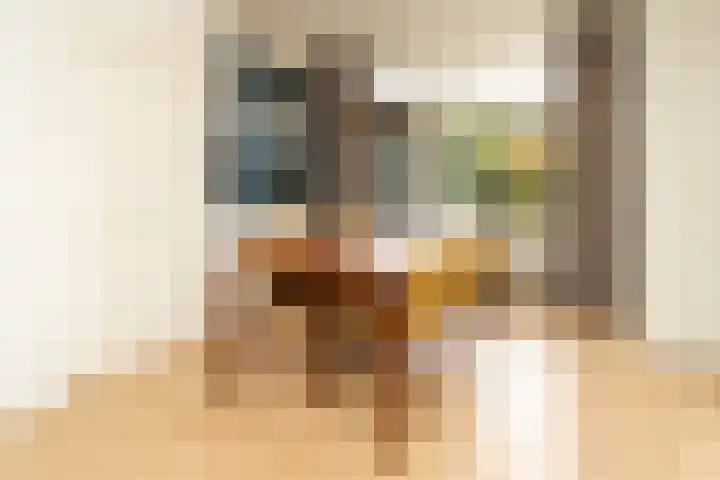 Deken de Raetstraat 8 Nijmegen thumbnail 14