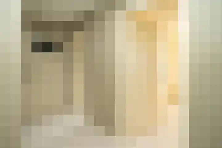 Deken de Raetstraat 8 Nijmegen thumbnail 17