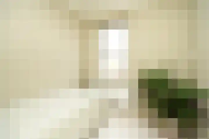Deken de Raetstraat 8 Nijmegen thumbnail 25