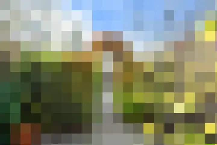 Deken de Raetstraat 8 Nijmegen thumbnail 37