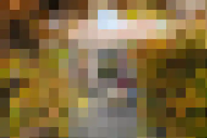 Deken de Raetstraat 8 Nijmegen thumbnail 39