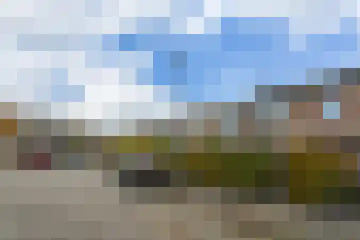 Deken de Raetstraat 8 Nijmegen thumbnail 43