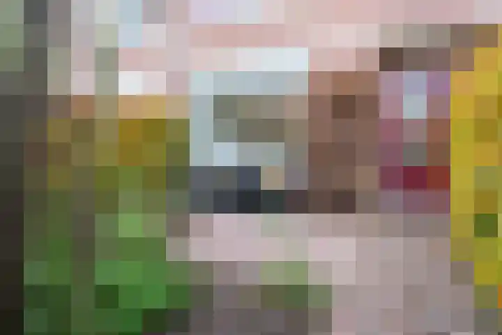 Deken de Raetstraat 8 Nijmegen thumbnail 5