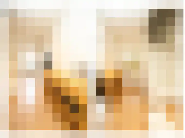 Deken de Raetstraat 8 Nijmegen thumbnail 6