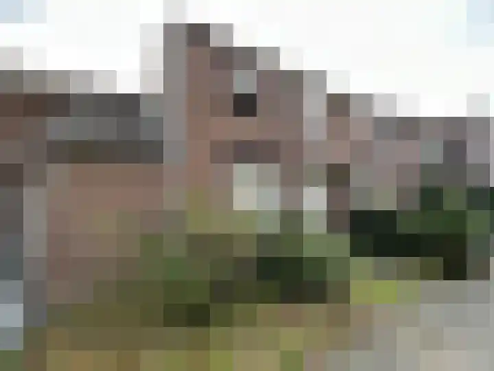 Deken Deutzlaan 232 Kerkrade foto 2