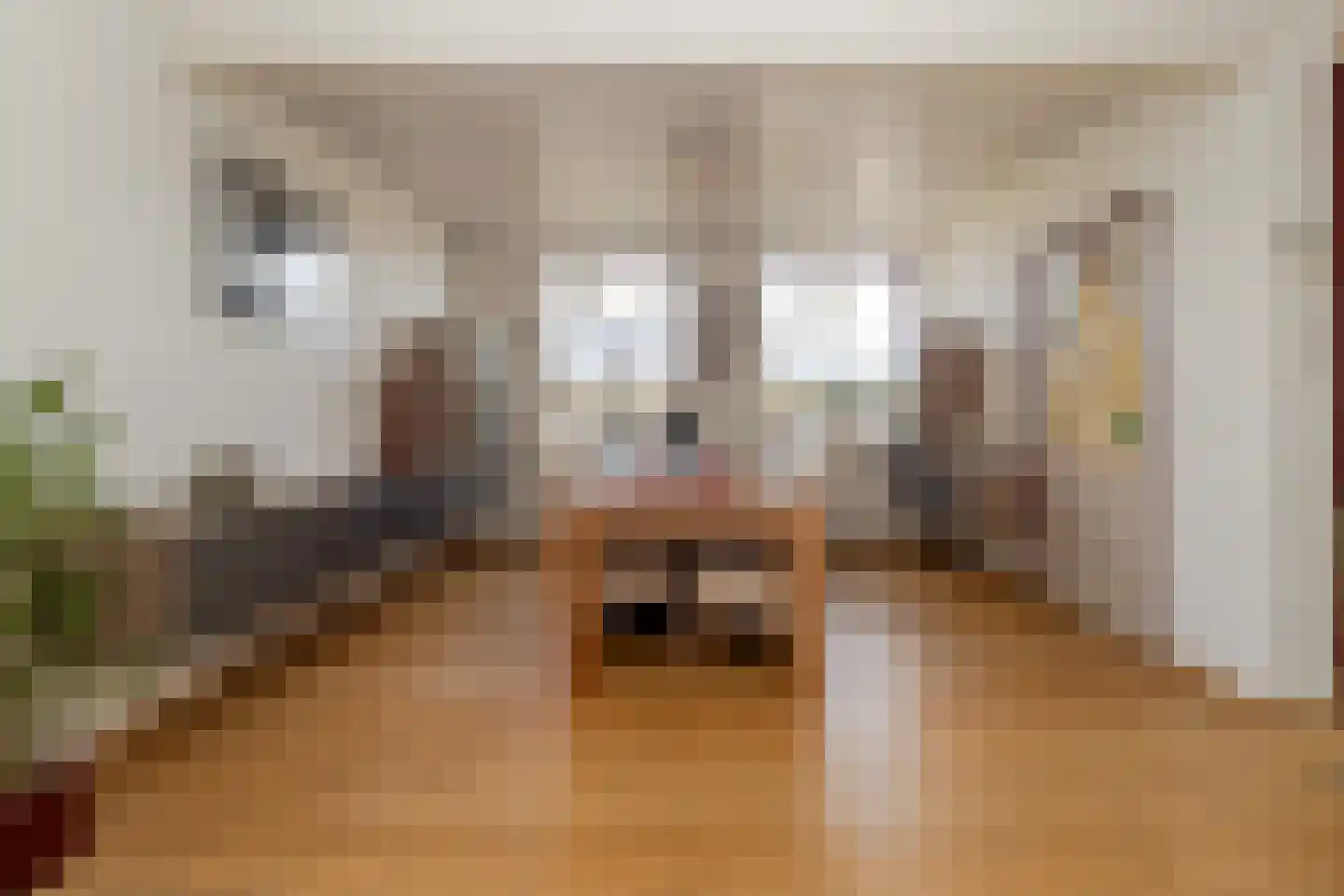 Deken Fabiusstraat 11 Nieuwstadt thumbnail 20