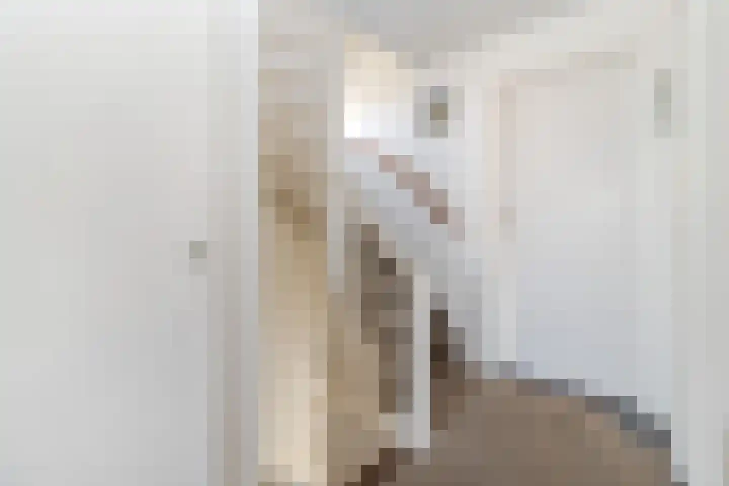 Deken Fabiusstraat 11 Nieuwstadt thumbnail 28