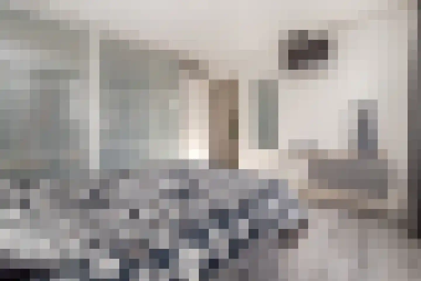 Deken Fabiusstraat 11 Nieuwstadt thumbnail 29