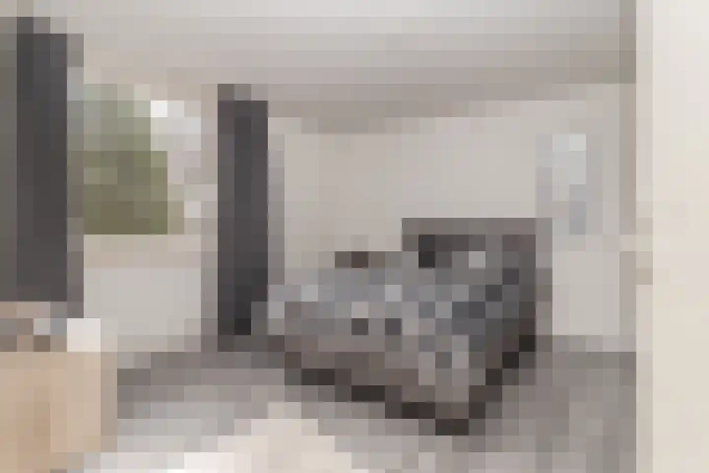 Deken Fabiusstraat 11 Nieuwstadt thumbnail 4