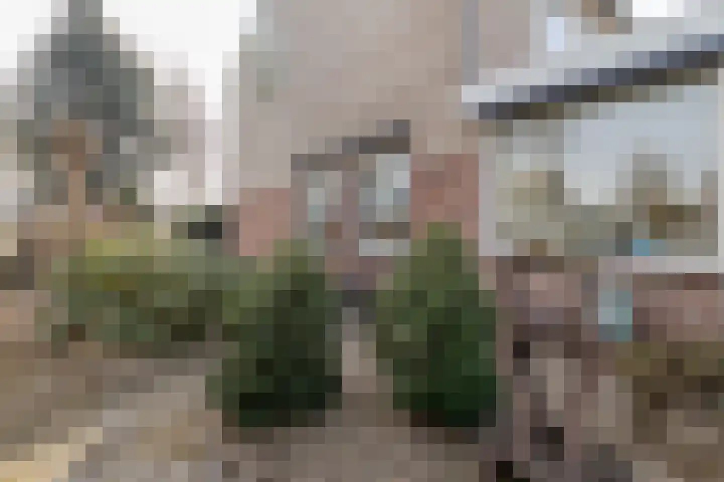 Deken Fabiusstraat 11 Nieuwstadt thumbnail 42